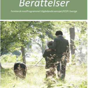 Berättelser - 15 år med vägledande samspel i Sverige