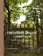 Vägledande samspel i praktiken